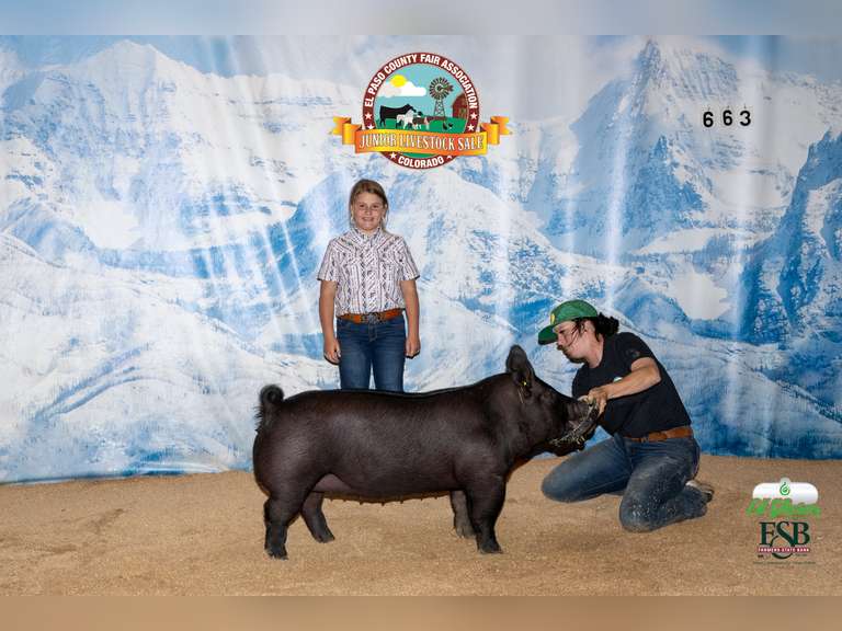 Anastasia   Lobdell   Calhan Ranch Hand