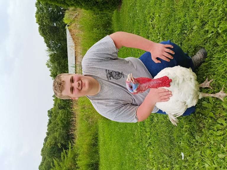 Wyatt Fiddler Carrollton FFA