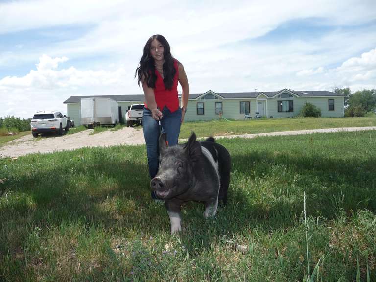 Kaylee  Wyer  Kiowa Community 4-H Club