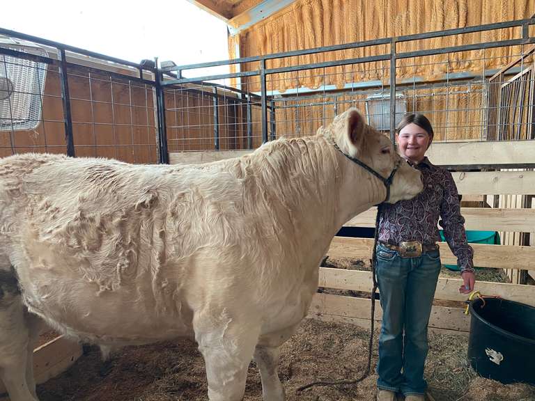 Sage   Shy  Trailblazers 4H