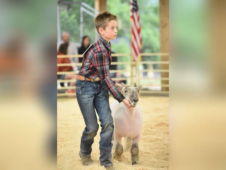 Michael  Lawson  Elbert Creekside