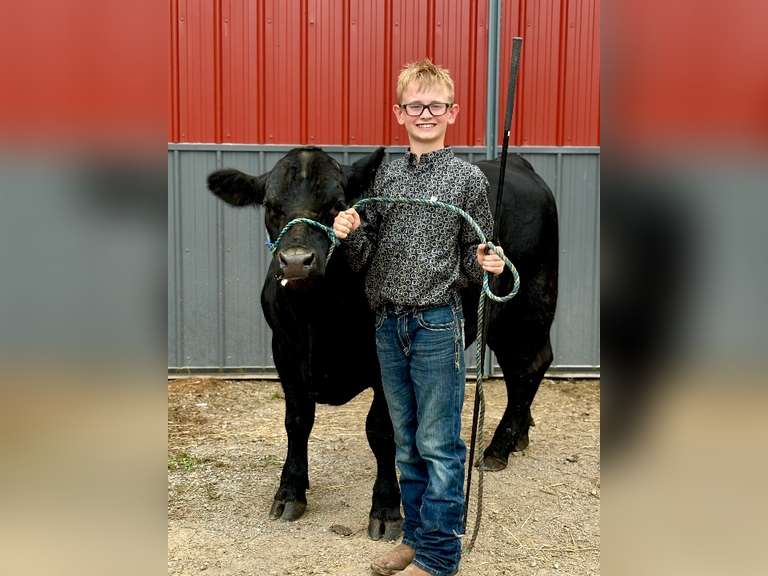 Brantley Buss Rowdy Wranglers