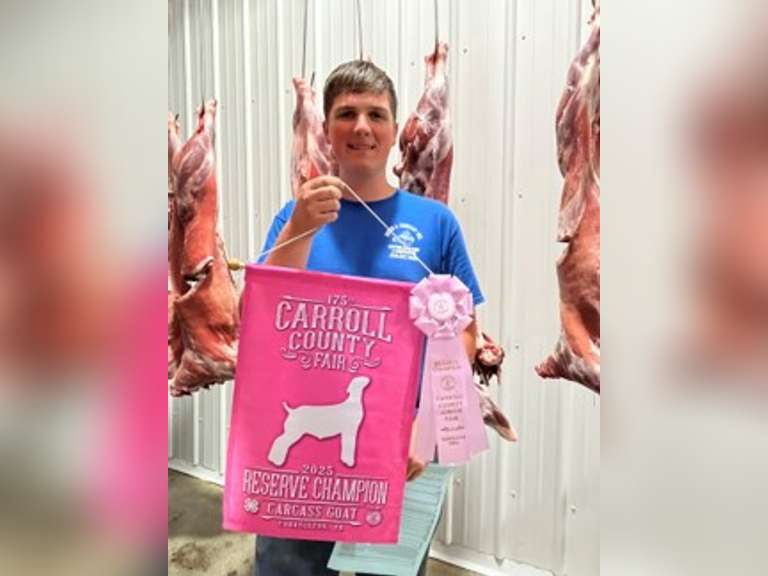 Gage Thompson The Beef Club