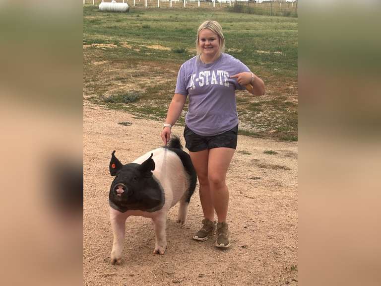 Addison  McWhorter  Ranchin Rookies 4H Club