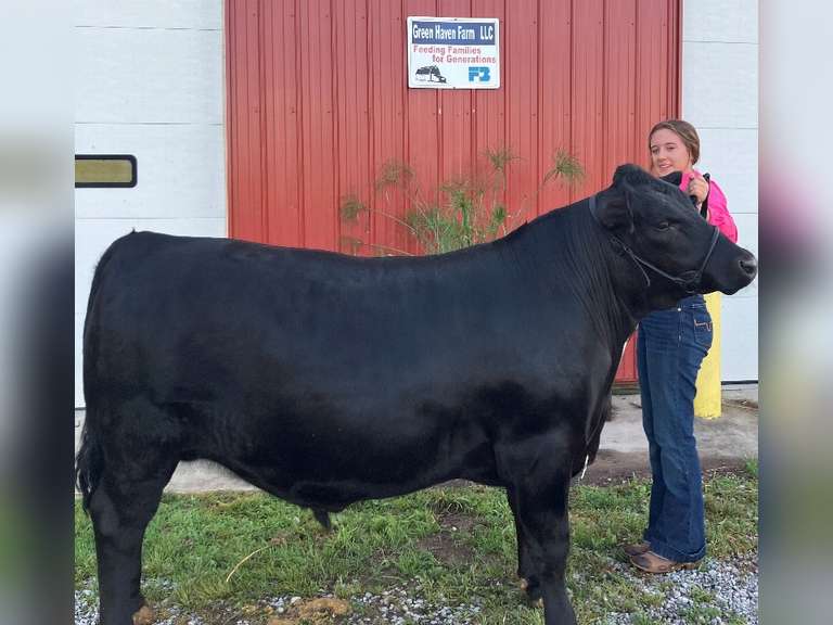 Haylee Lucas East Township Young Producers
