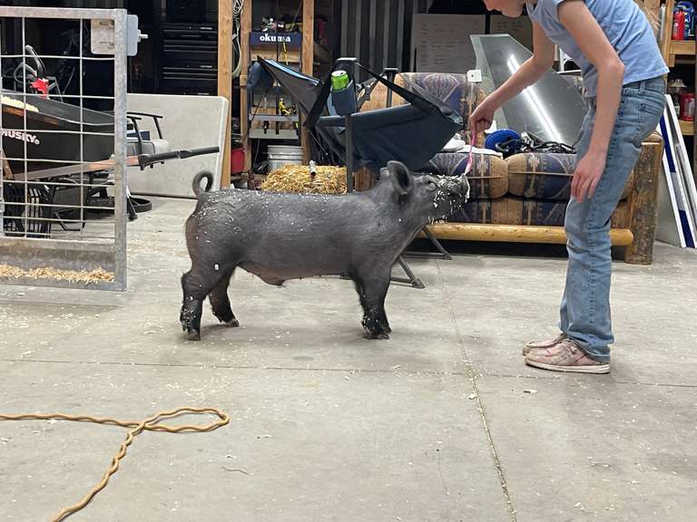 Carsyn  Laurence  Calhan Ranch Hands