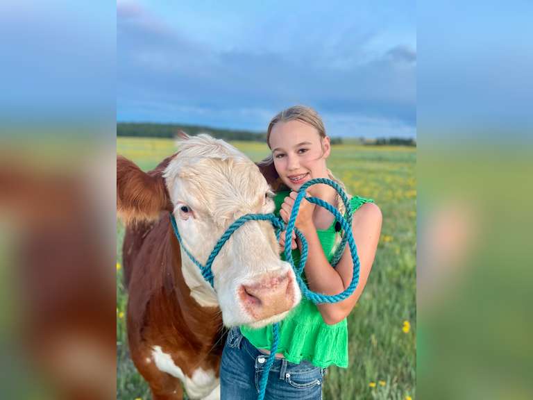 BRINLEY  WATTS  Kiowa Community 4H Club