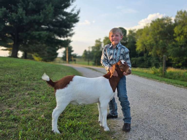 Jaxon Lee The Beef Club