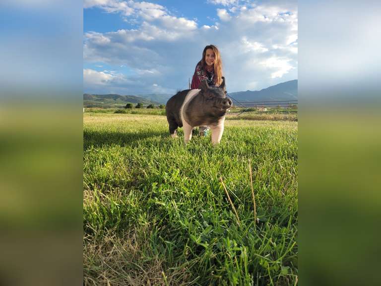 Jaliane   Gonzalez  Top Hands