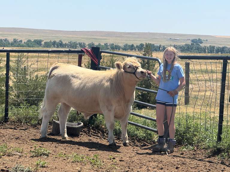 Ryley  Hamacher  Rural Rustlers