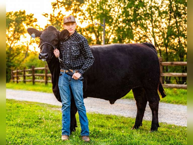 Clint Kruprzak Carrollton FFA