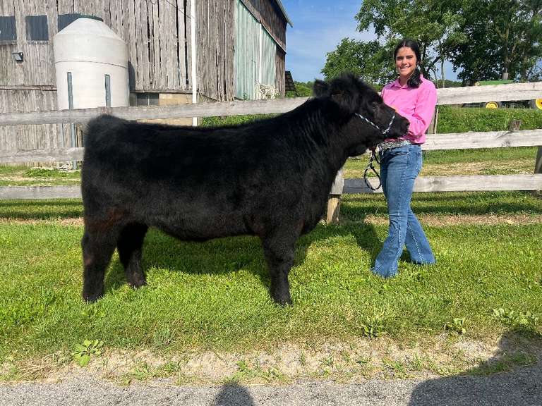 Kherrington Roudebush Carrollton FFA