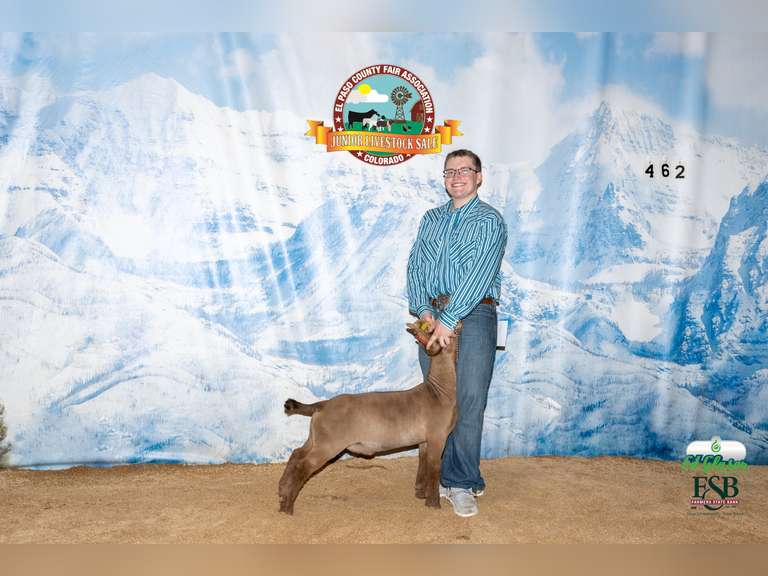 Kaleb  Gramsch  Grand Drive