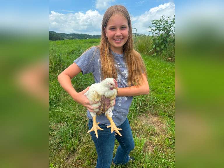 Bay Mulheman East Township Young Producers