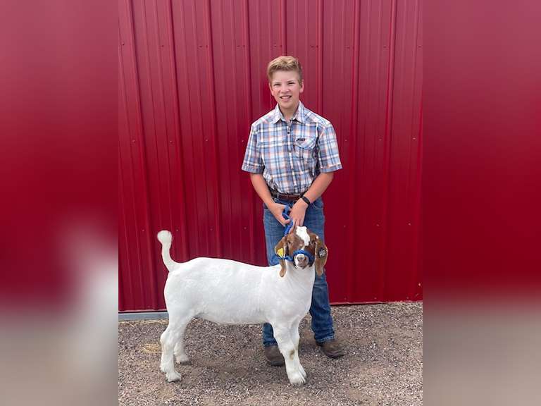 Liam  Hayes  Gold Creek 4H Club