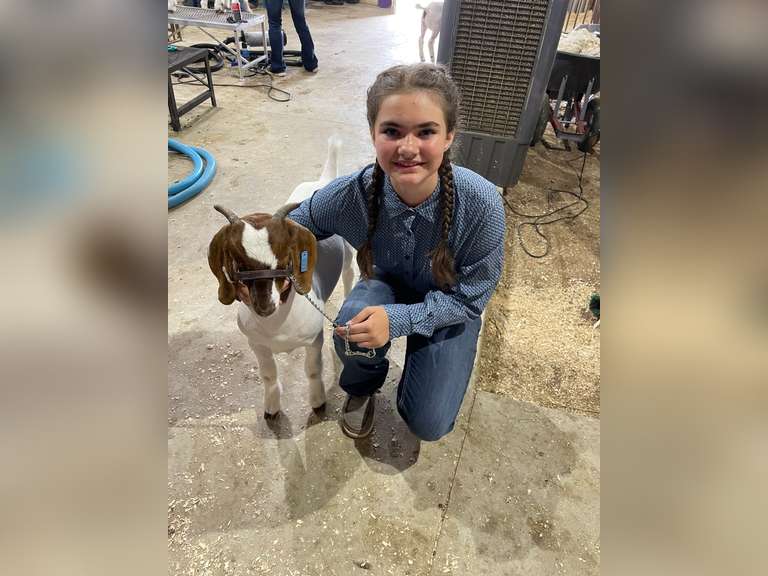 Kaitlyn  Grossardt  Trail Blazers