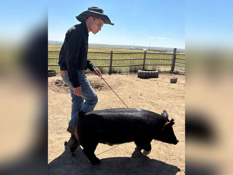 Antonio   Guevara-Hudson  Rattlesnake 4-H Club