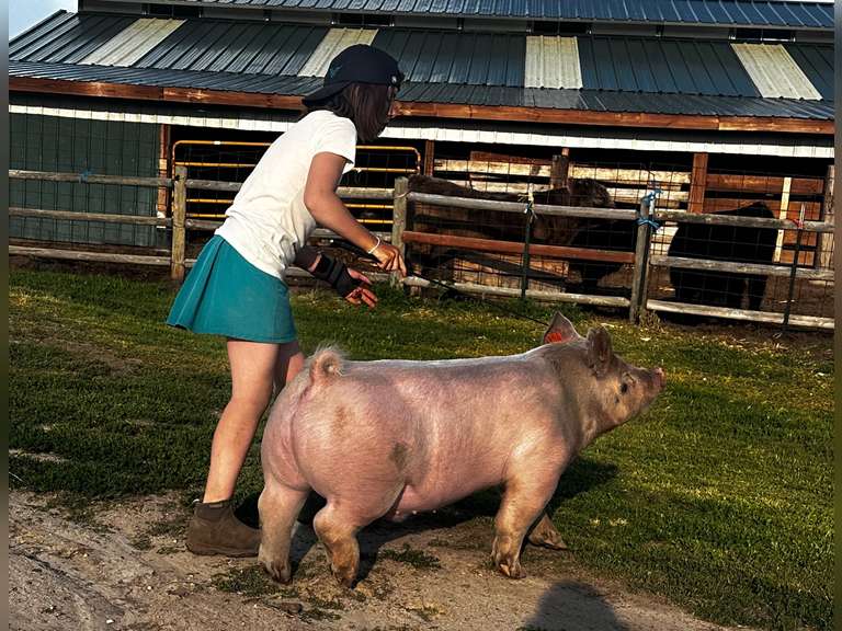 Lauralai   Brammer  Ranchin’ Rookies 4-H Club