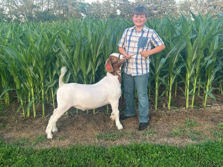 Karson Booth The Beef Club