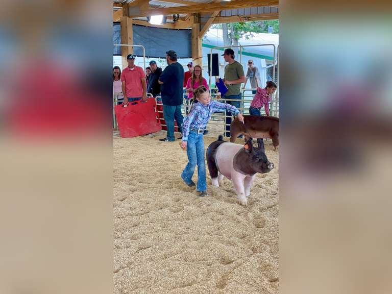 Ellie  Zwack  Ranchin' Rookies