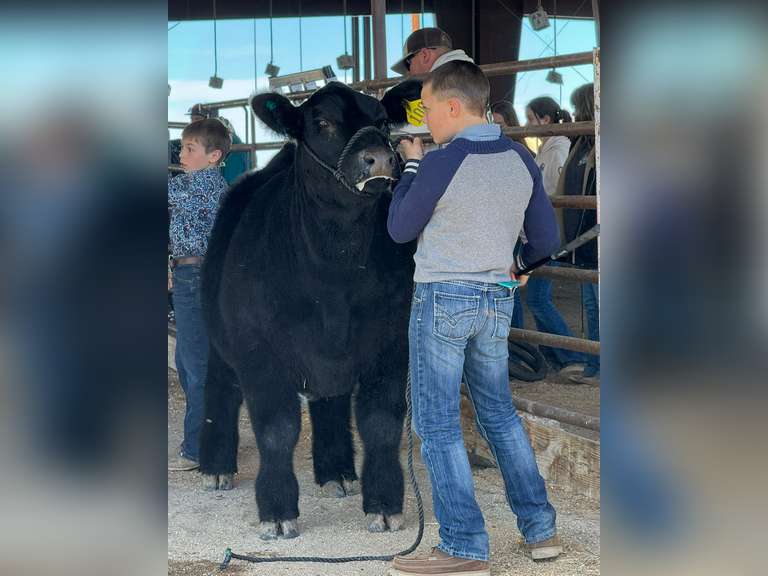 Wade  White  Kiowa Community 4-H Club
