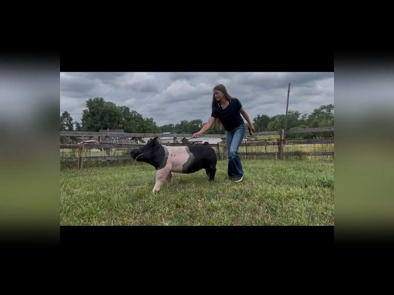 Kendall  Cutter  Running Creek 4-H Club