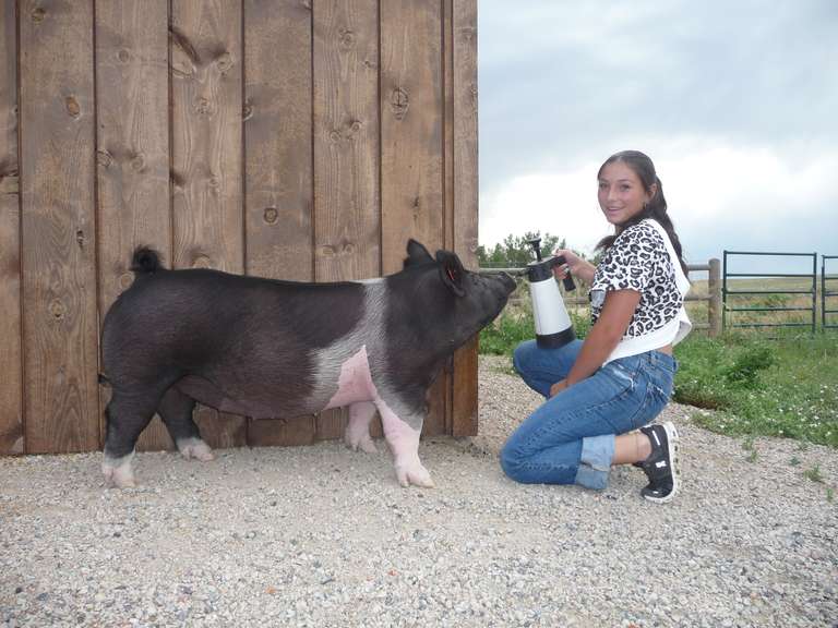 Kaylee  Wyer  Kiowa Community 4-H Club