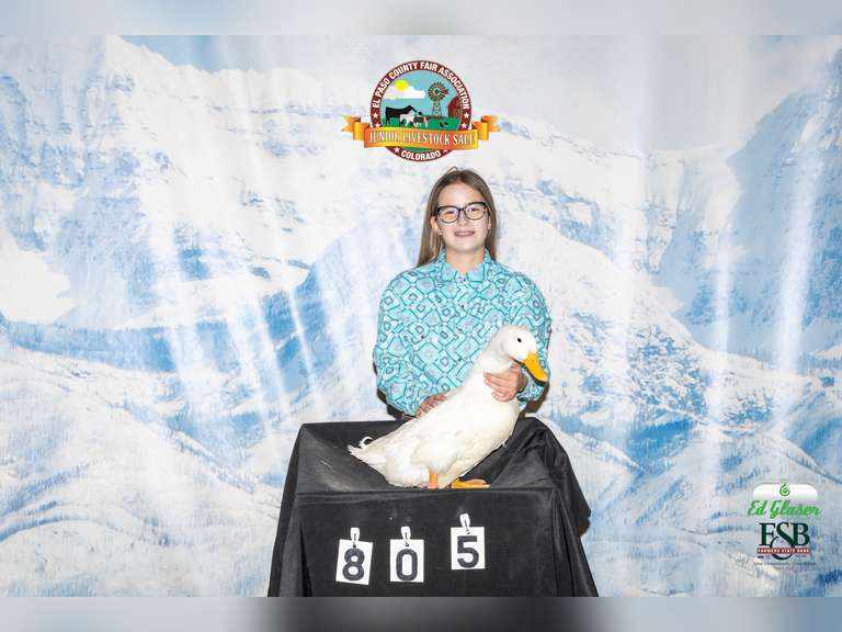 Abigail  Baca  Angel Fire 4-H