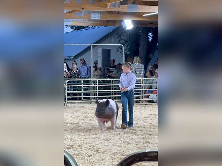 Ellie  Zwack  Ranchin' Rookies
