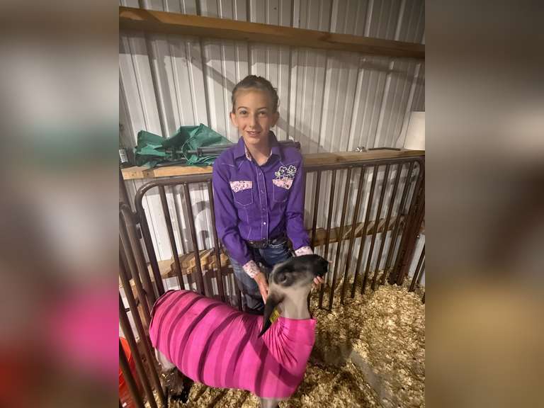 Jennica  Mullett  Top Hands, Custer County 4H