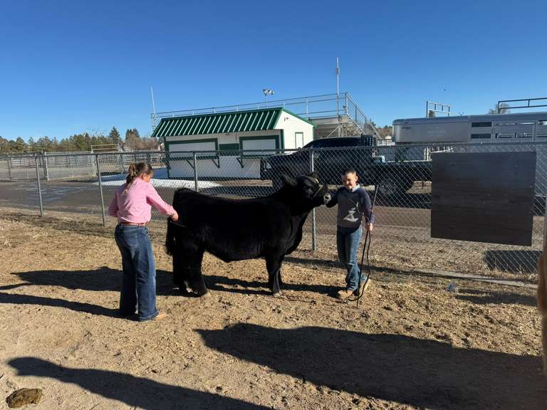 Wade  White  Kiowa Community 4-H Club