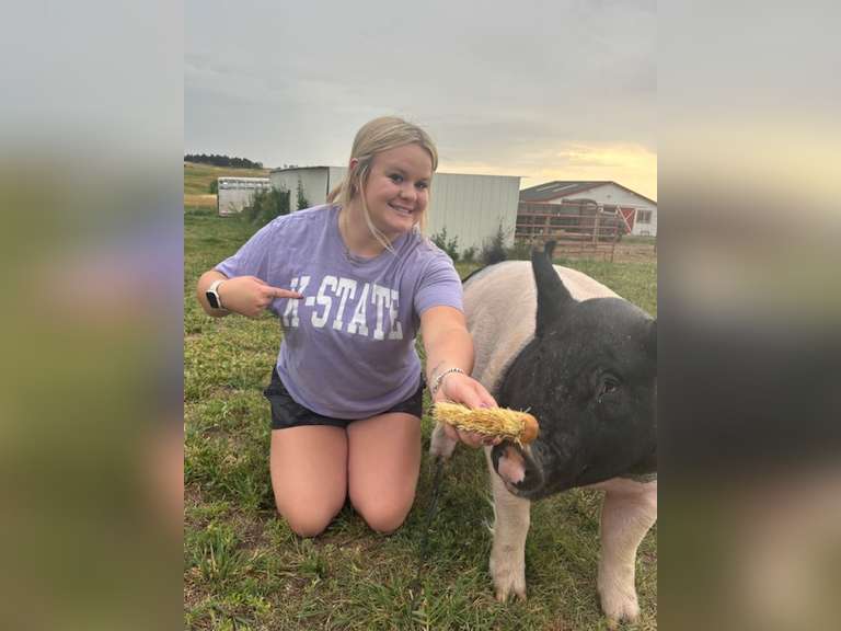 Addison  McWhorter  Ranchin Rookies 4H Club