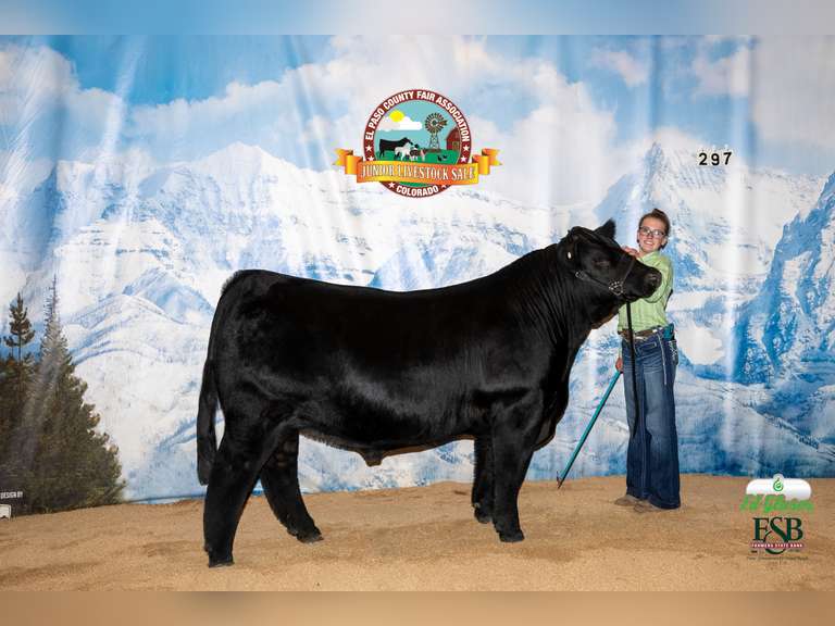 Kaylie  Zeiger  Calhan Ranch Hands