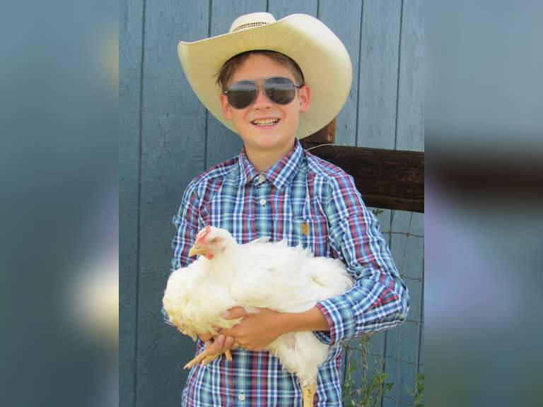 Corbin  Palmer  Sun Country 4H