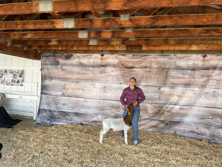 Brooke  Mills  Comanche Creek 4-H