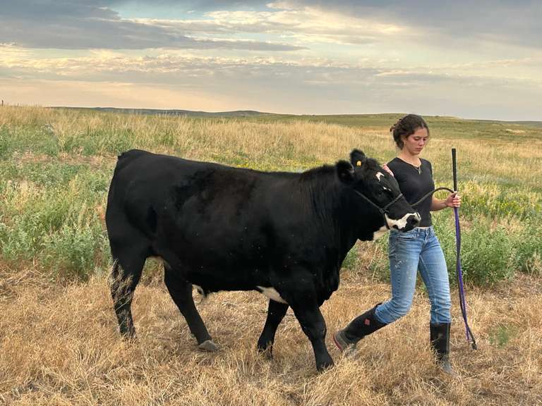 Kelsi  Harr  Rural Rustlers 4H