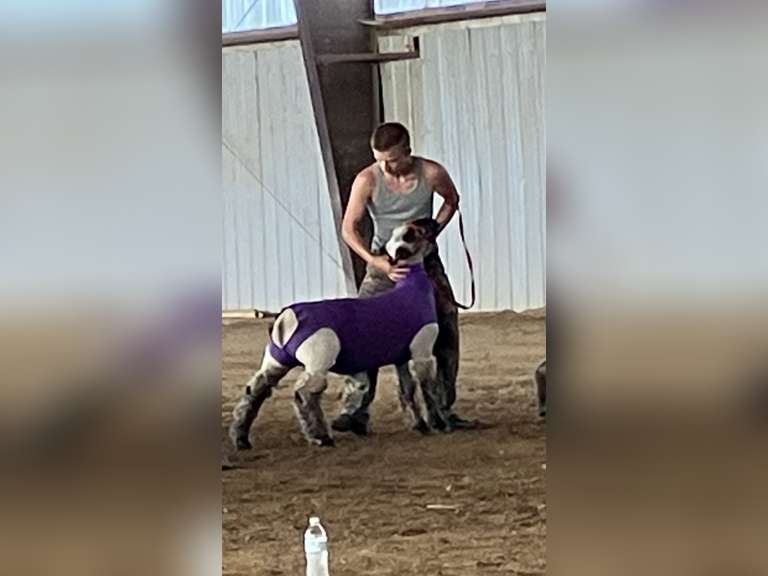 Benji  Smith  Top Hands