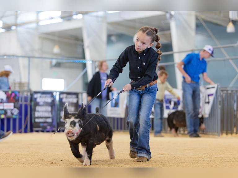 Savannah  Hinton  Kiowa Community 4-H