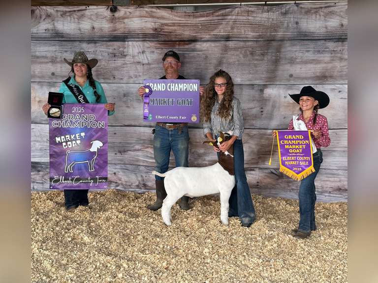 Jamie  Schafer  Rattle Snake 4-H Club