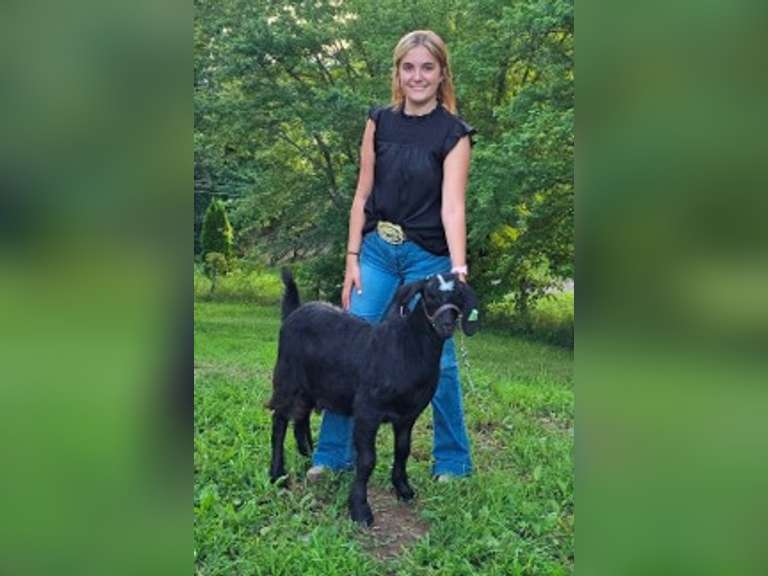 Kendall George Carrollton FFA