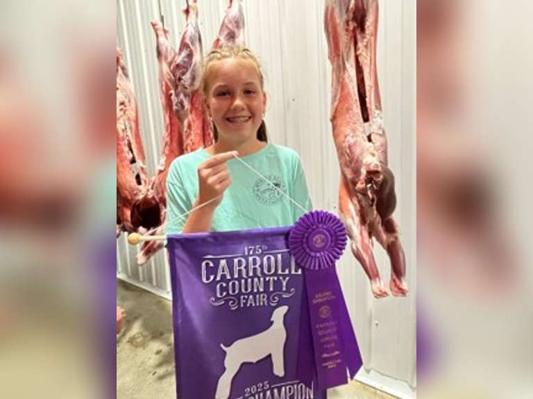 Bay Mulheman East Township Young Producers
