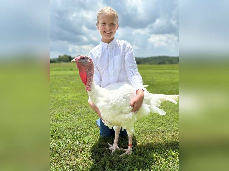 Kinsley Oyer East Township Young Producers