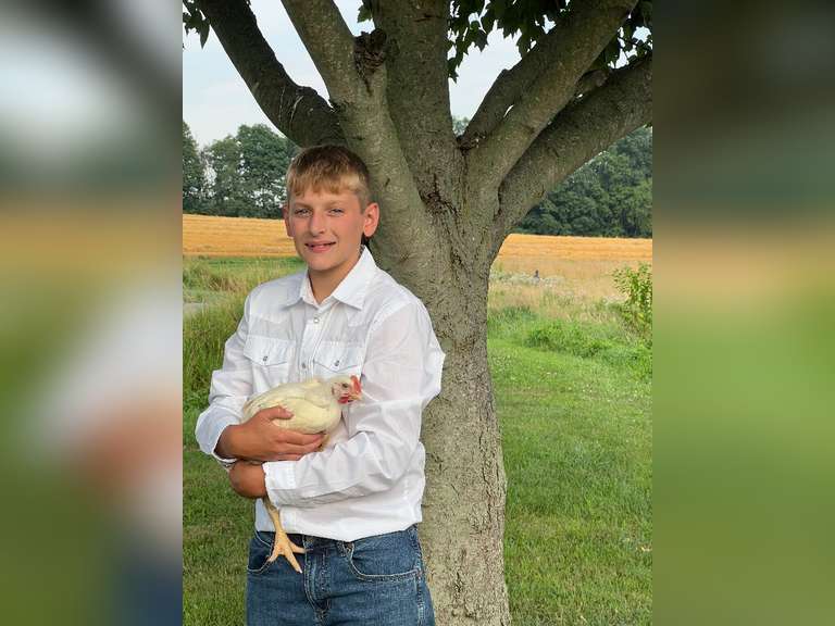 Parker McIntire The Beef Club