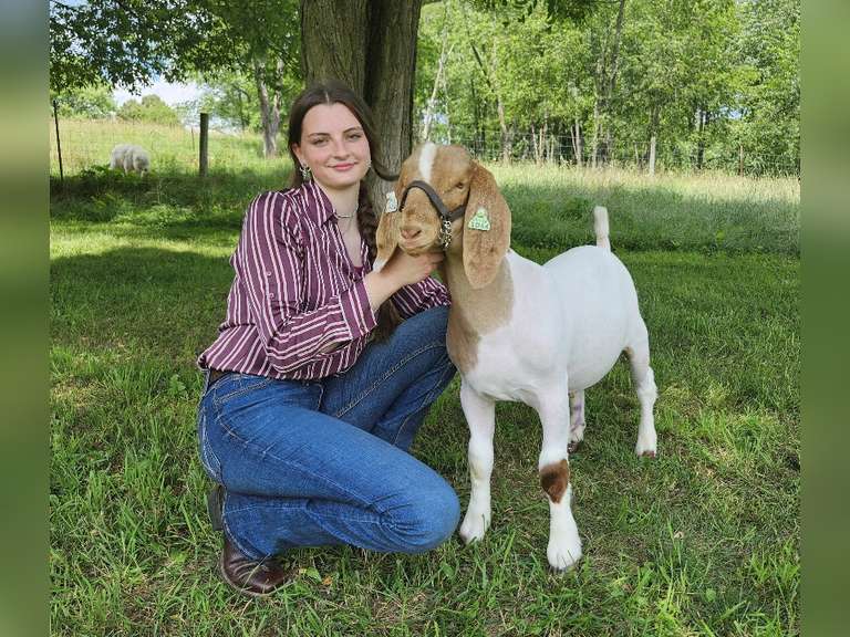 Malia Schaar Augusta Ranchers