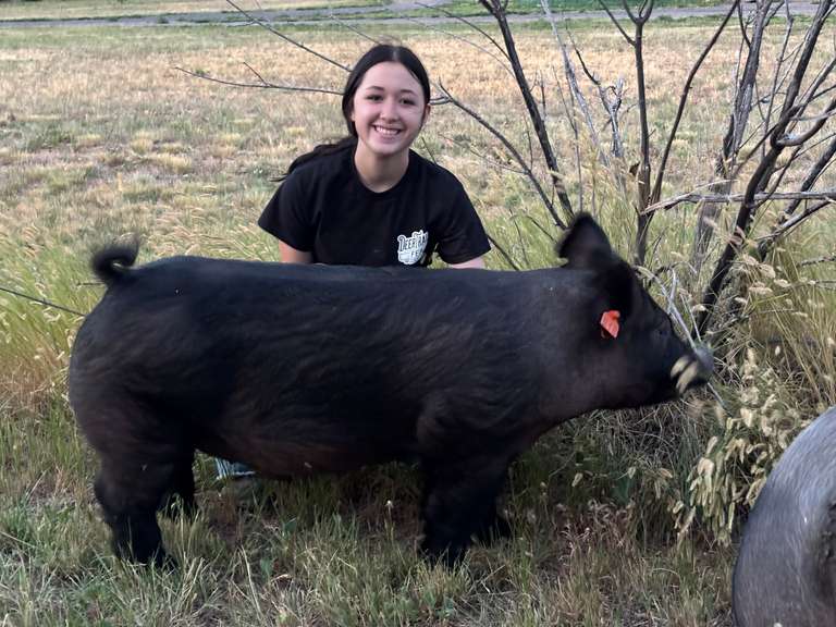 Landree  Cox  Rural Rustlers