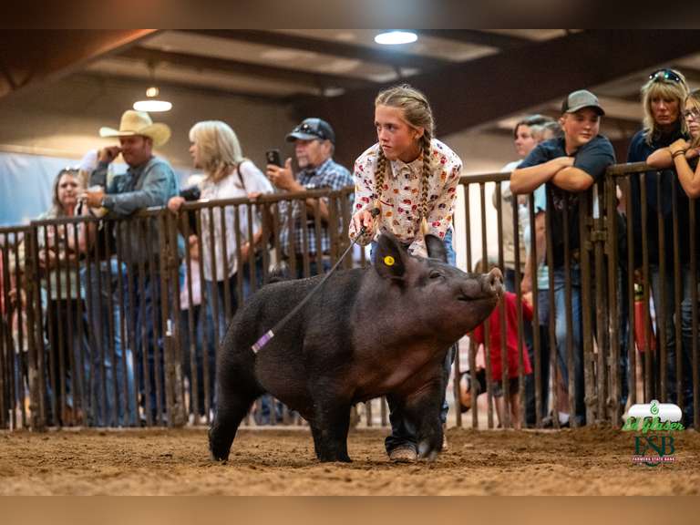 Carsyn  Laurence  Calhan Ranch Hands