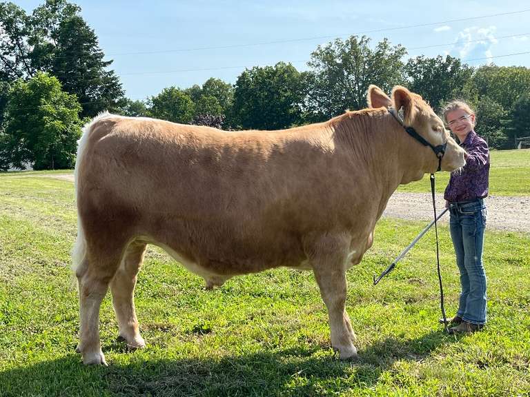 Claire Henry The Beef Club