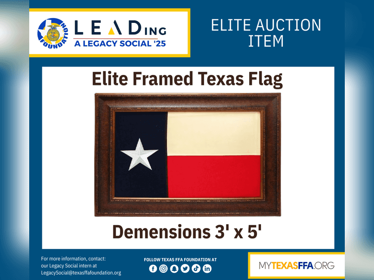 Texas Flag Framed donated by  Tom Maynard