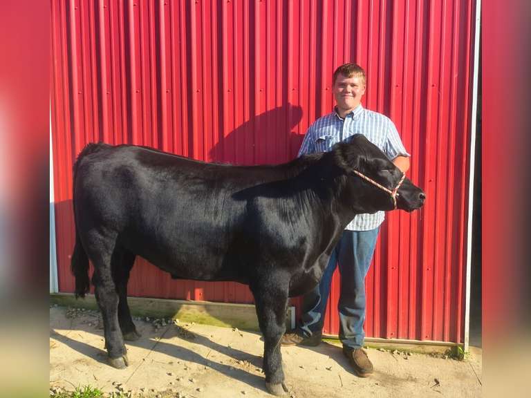 Brody Casper Augusta Ranchers