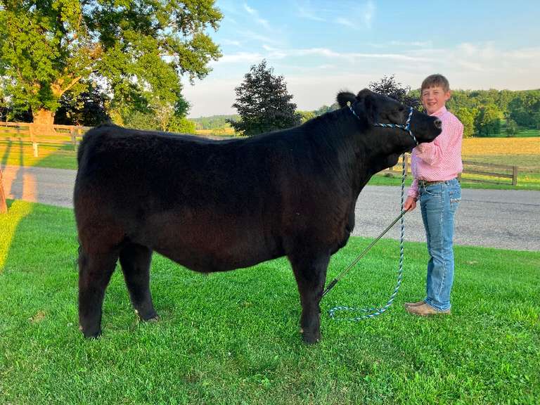 Henry Campbell The Beef Club